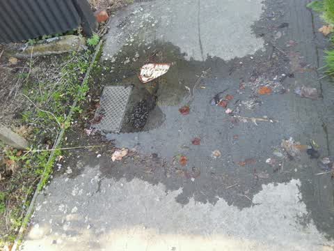 Flooding, a report photo