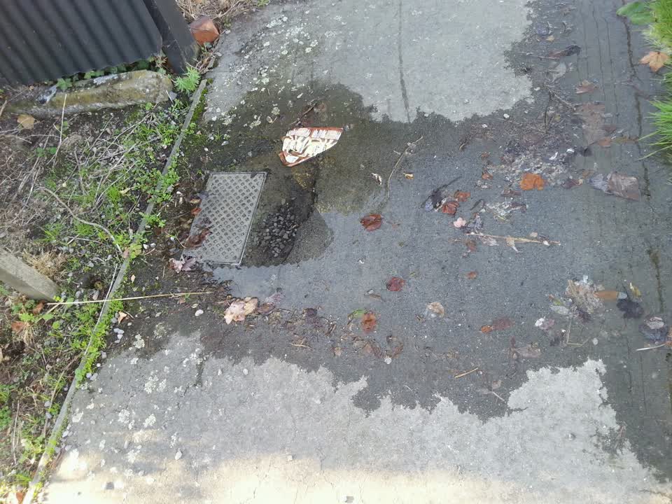 The photograph attached to this flooding report