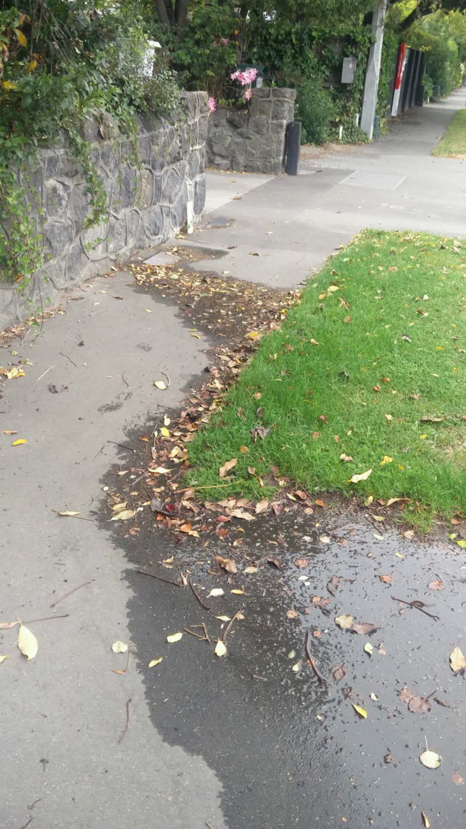 The photograph attached to this water supply report