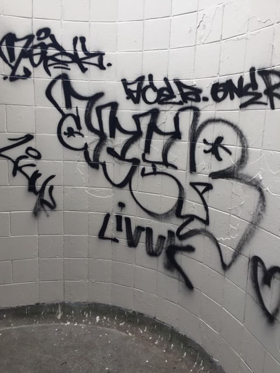 The photograph attached to this graffiti report