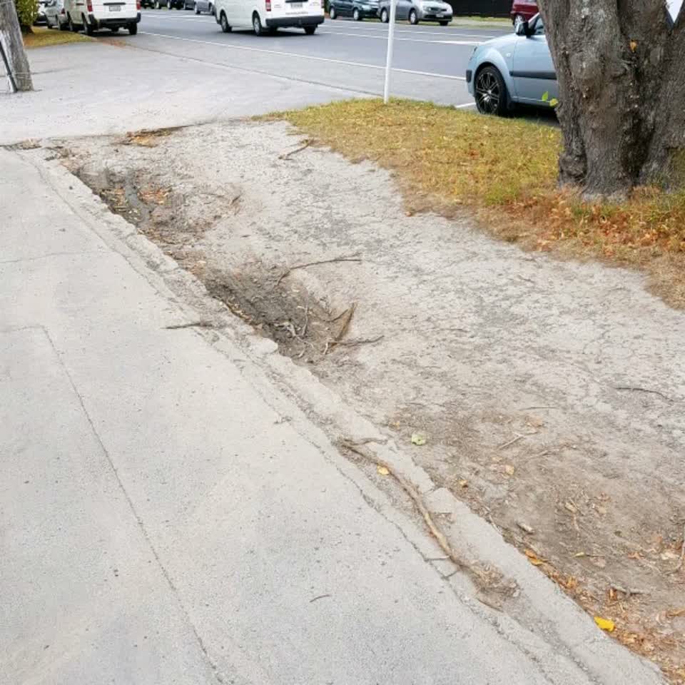 The photograph attached to this roading/streets report