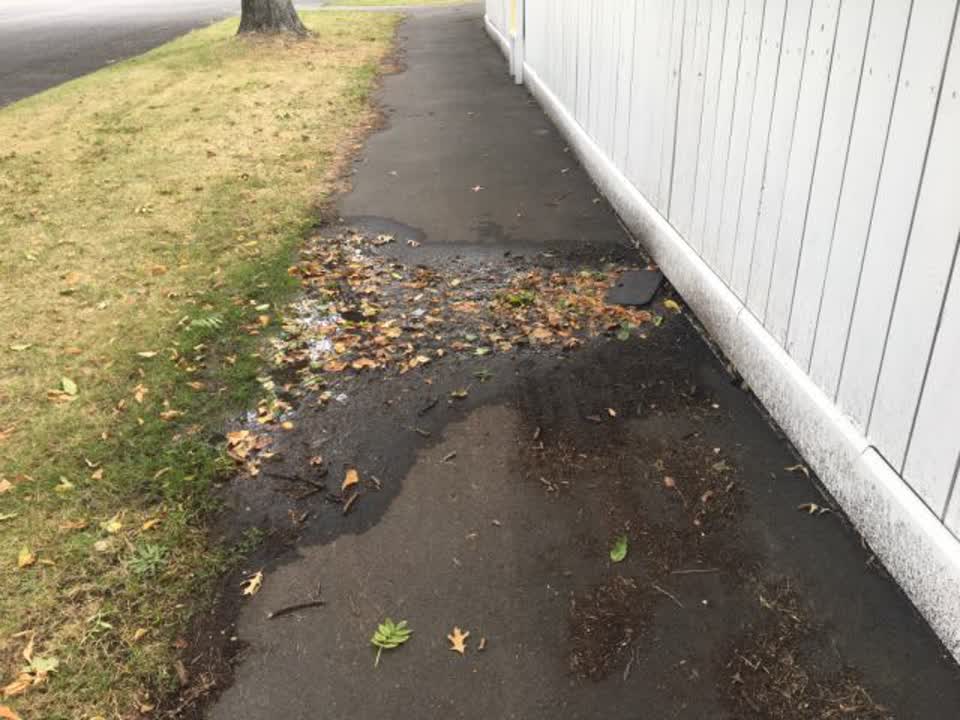 The photograph attached to this water supply report