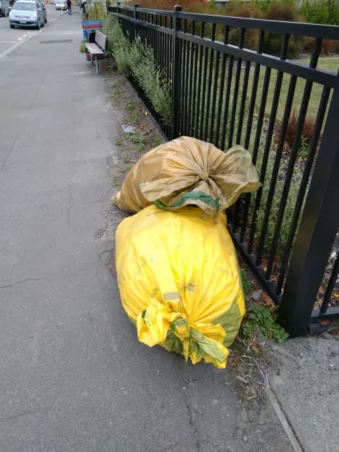 Rubbish/Recycling, a report photo