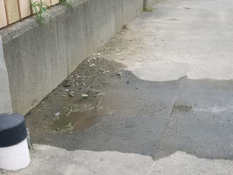Water Supply, a report photo