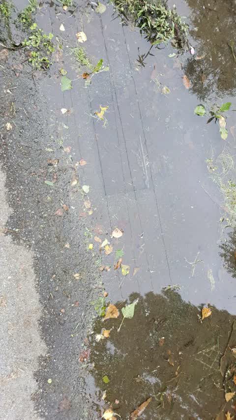 Water Supply, a report photo