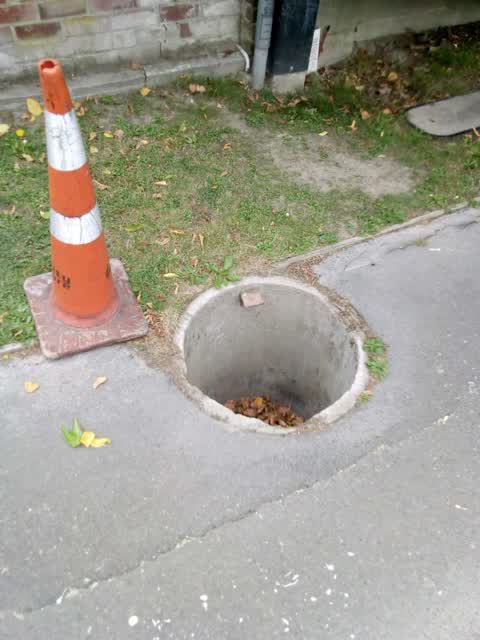 Parks, a report photo