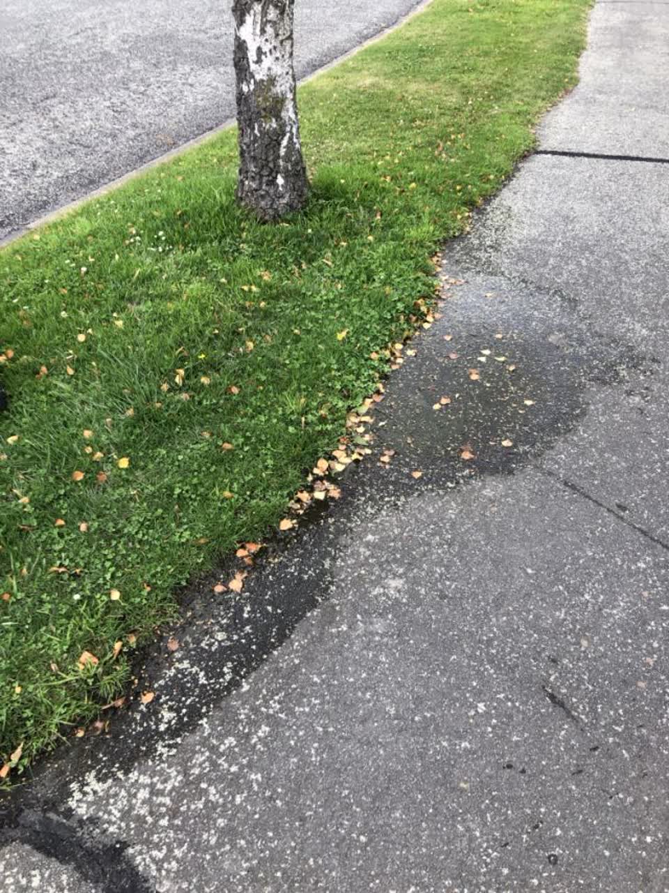 The photograph attached to this water supply report