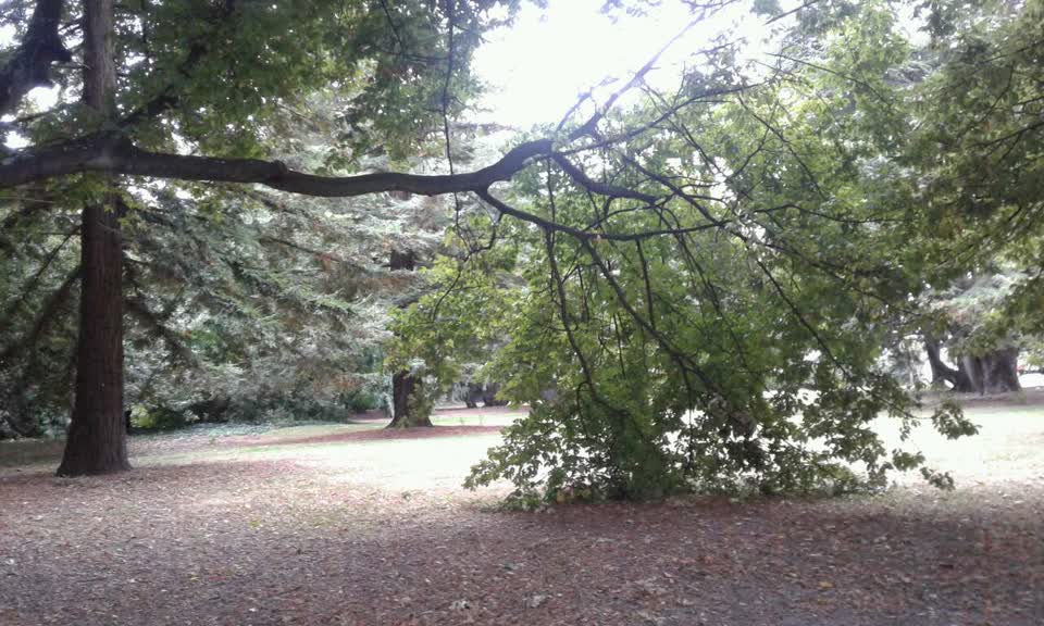The photograph attached to this parks report