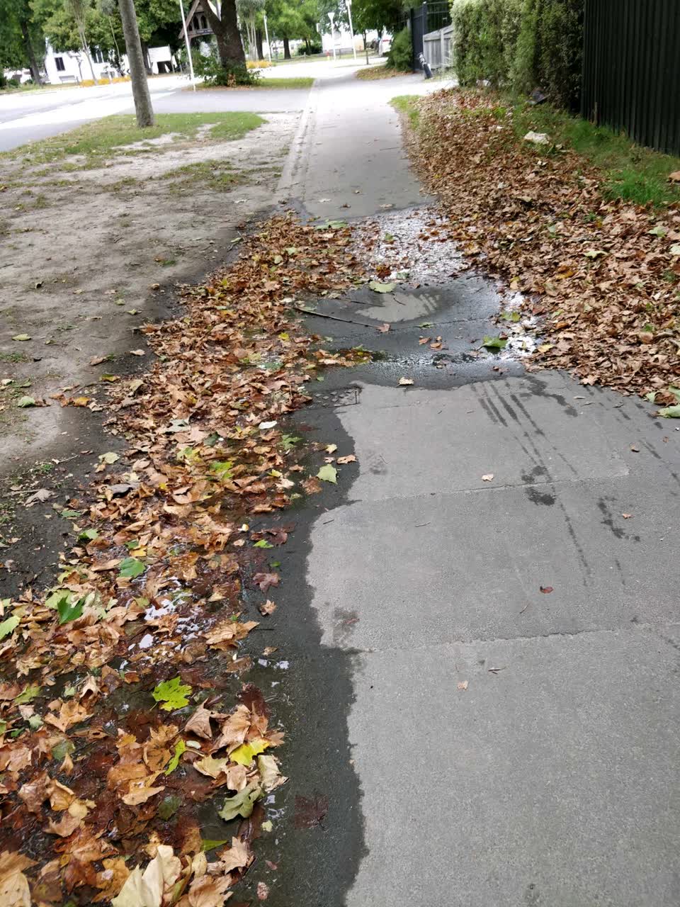 The photograph attached to this water supply report