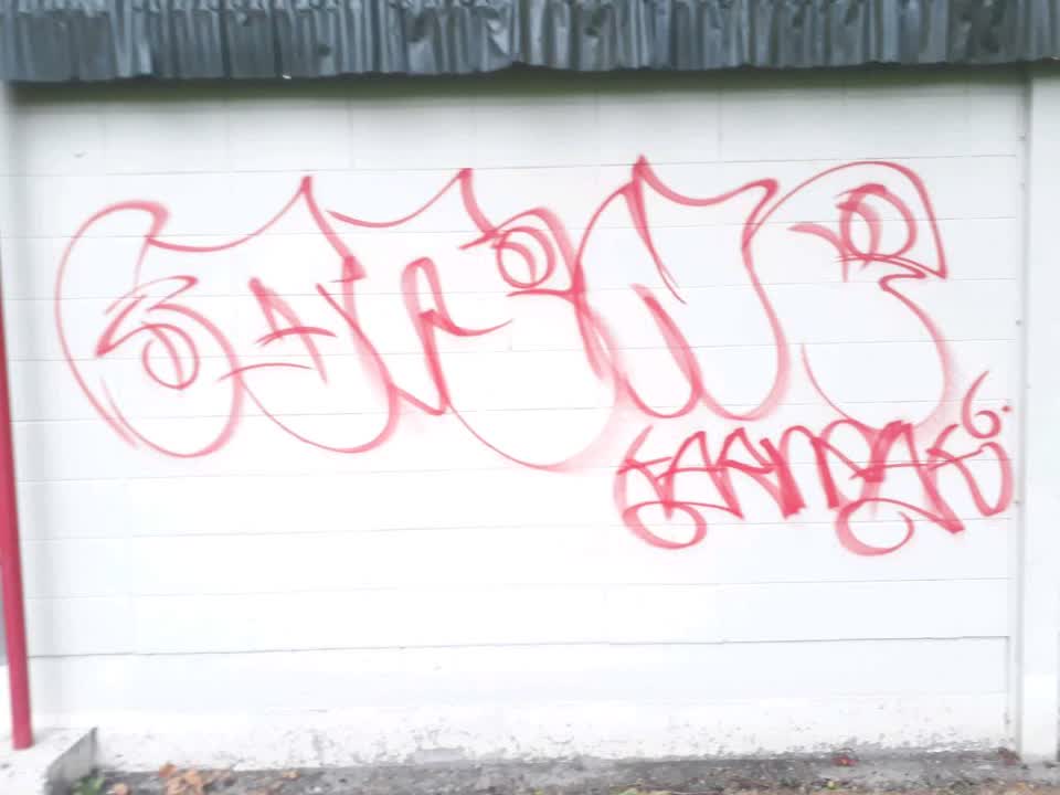 The photograph attached to this graffiti report
