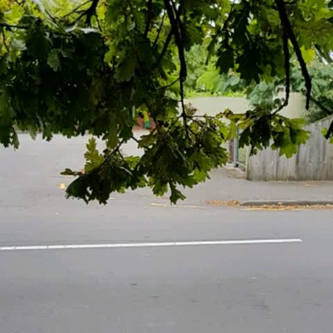 Parks, a report photo