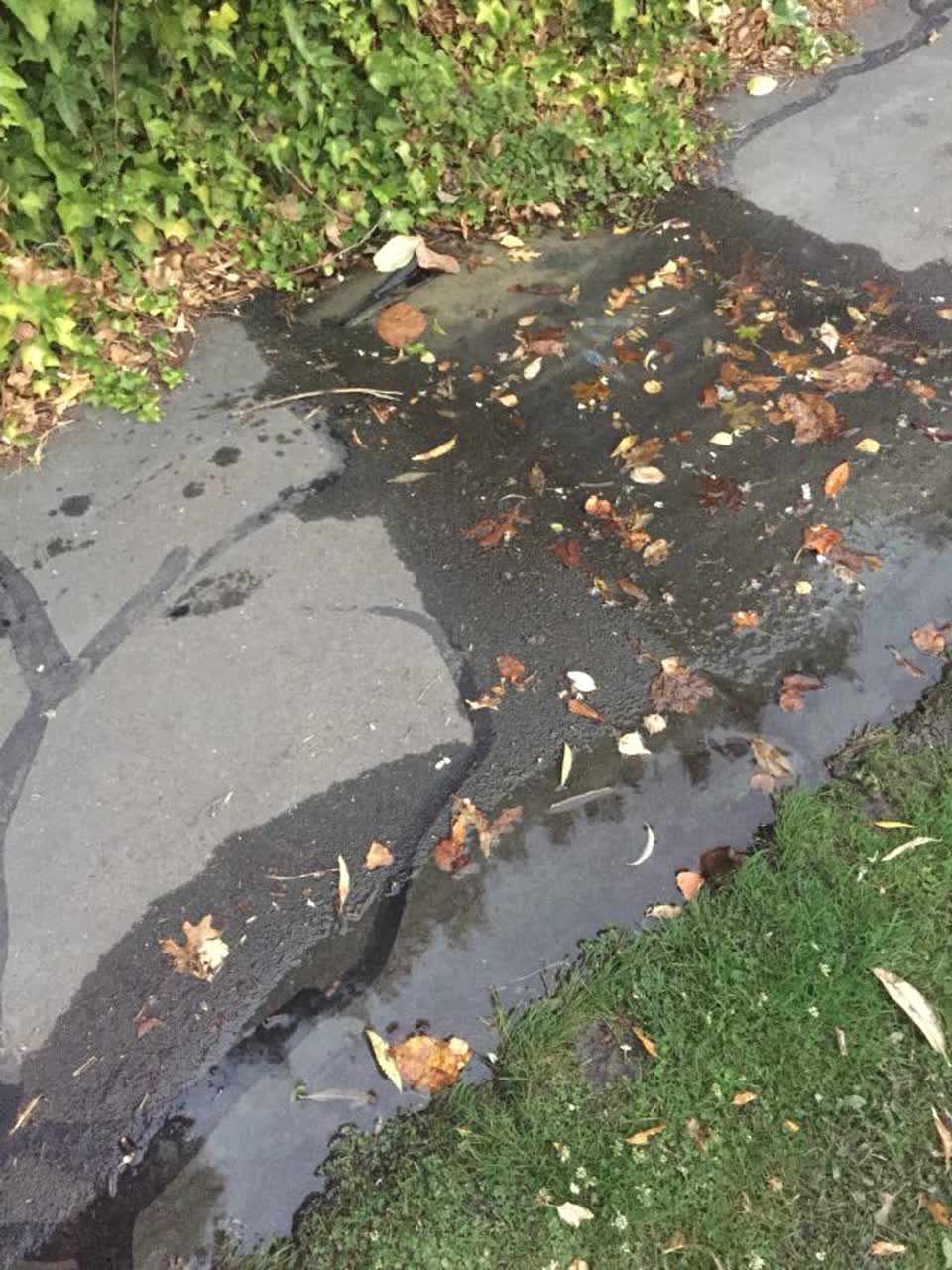 The photograph attached to this water supply report