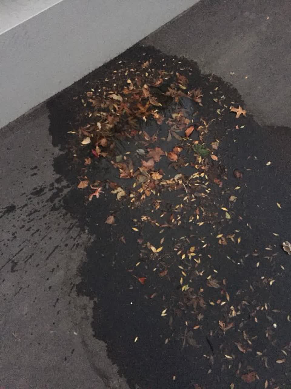 The photograph attached to this water supply report