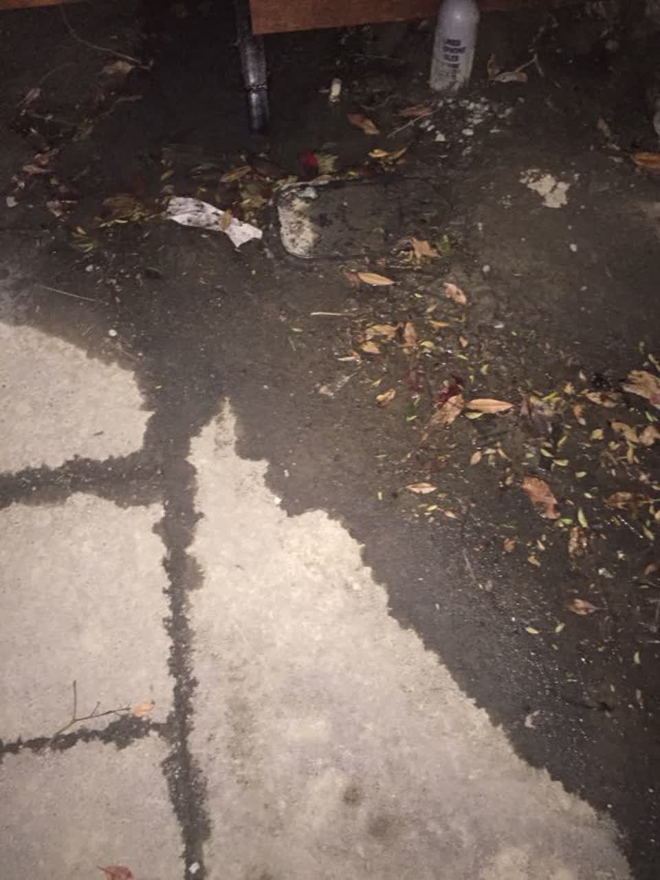 The photograph attached to this water supply report