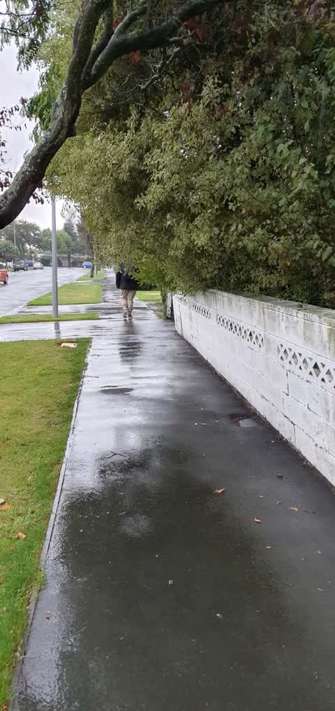 Roading/Streets, a report photo