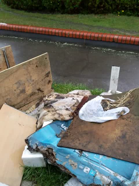 Rubbish/Recycling, a report photo