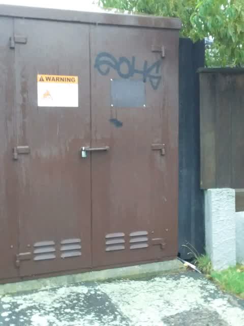 Graffiti, a report photo