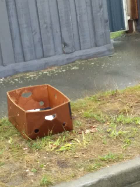 Rubbish/Recycling, a report photo