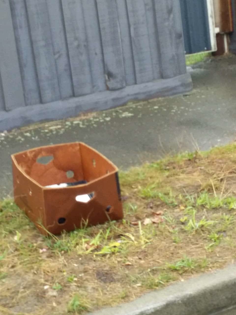 The photograph attached to this rubbish/recycling report