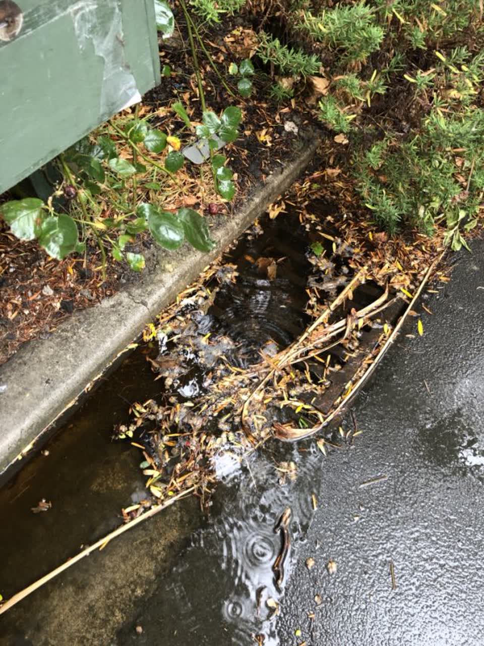 The photograph attached to this wastewater/stormwater report