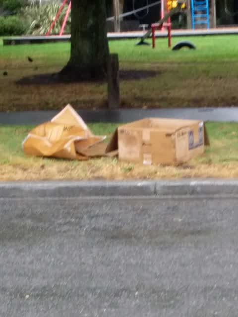 Rubbish/Recycling, a report photo