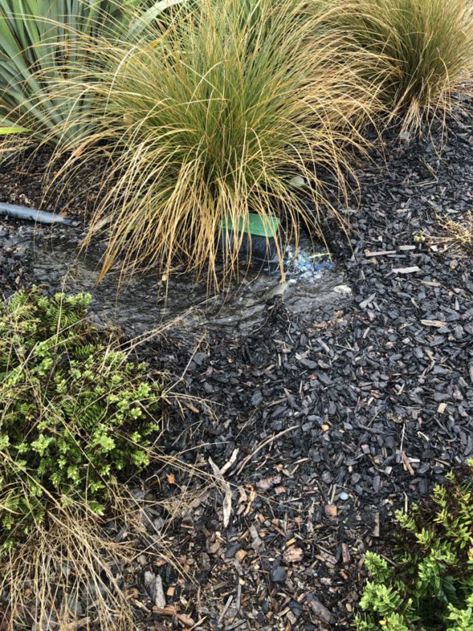 The photograph attached to this water supply report