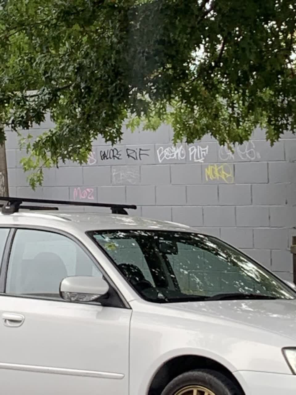 The photograph attached to this graffiti report