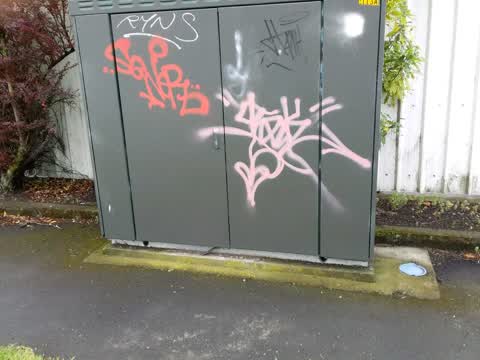 Graffiti, a report photo
