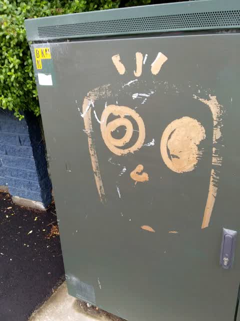 Graffiti, a report photo