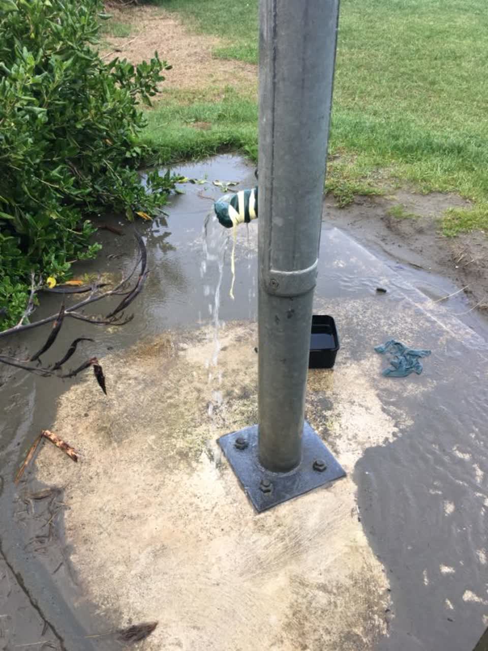 The photograph attached to this parks report