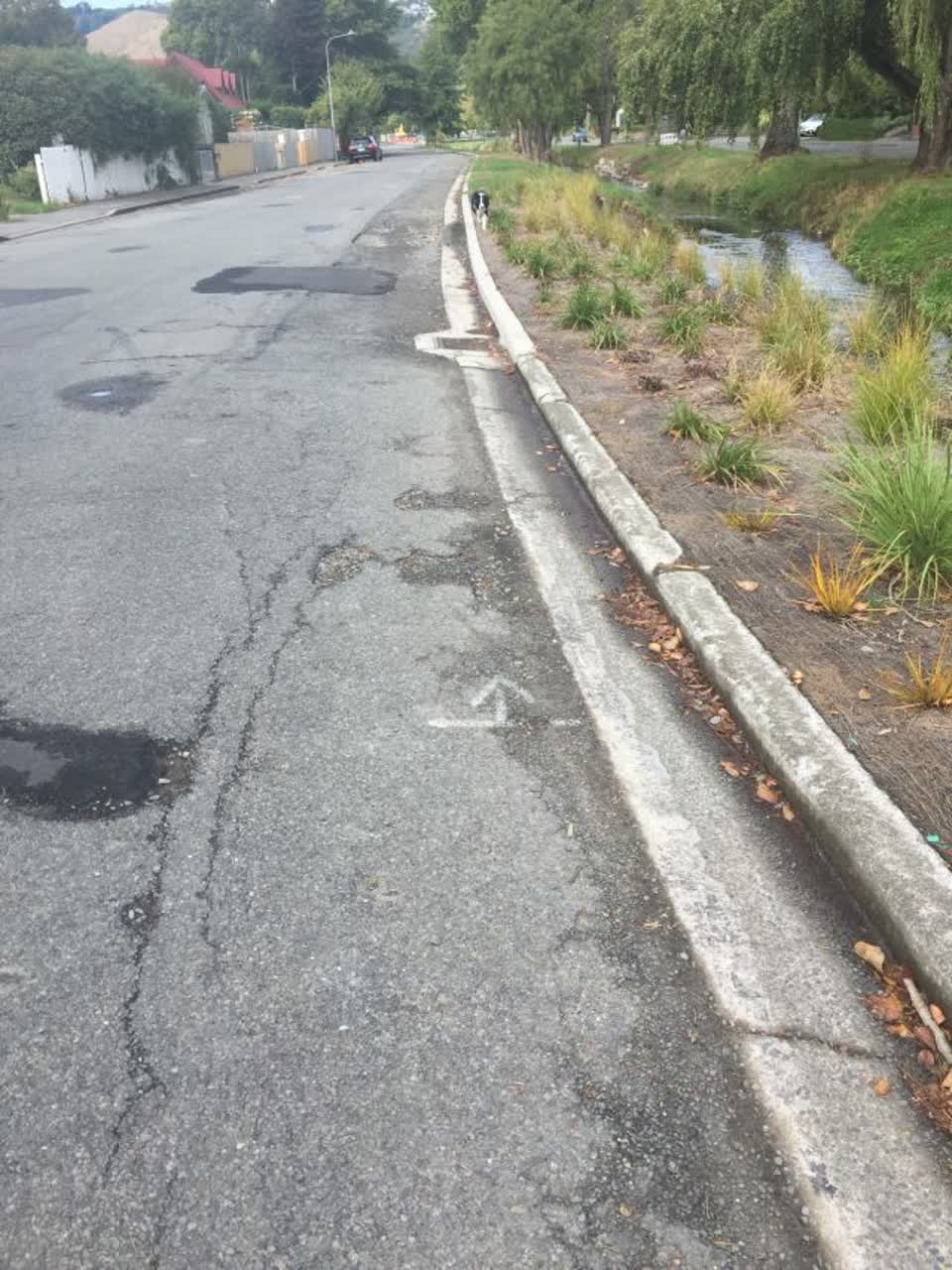 The photograph attached to this roading/streets report