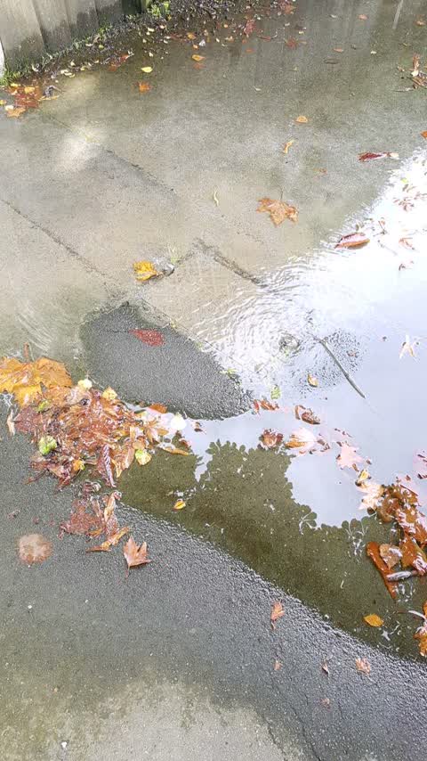 Water Supply, a report photo