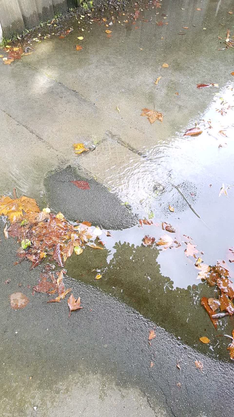 The photograph attached to this water supply report