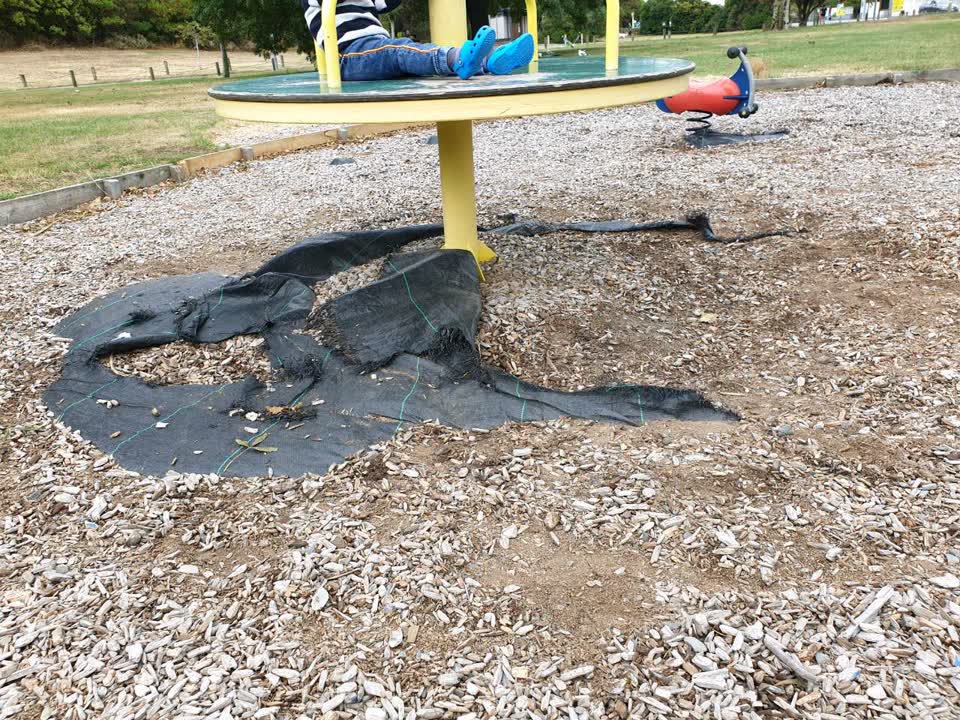 The photograph attached to this parks report