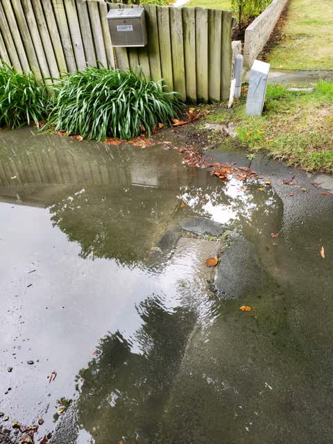 Water Supply, a report photo