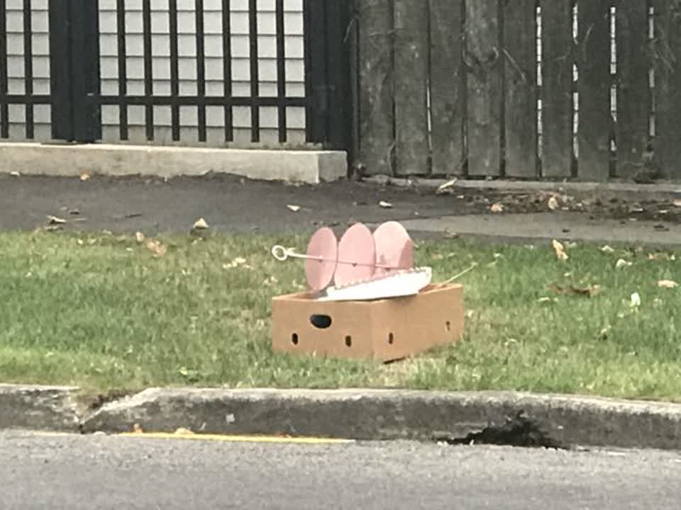 The photograph attached to this rubbish/recycling report