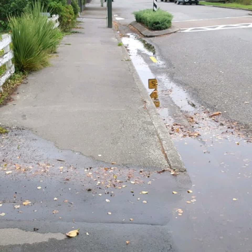 The photograph attached to this water supply report