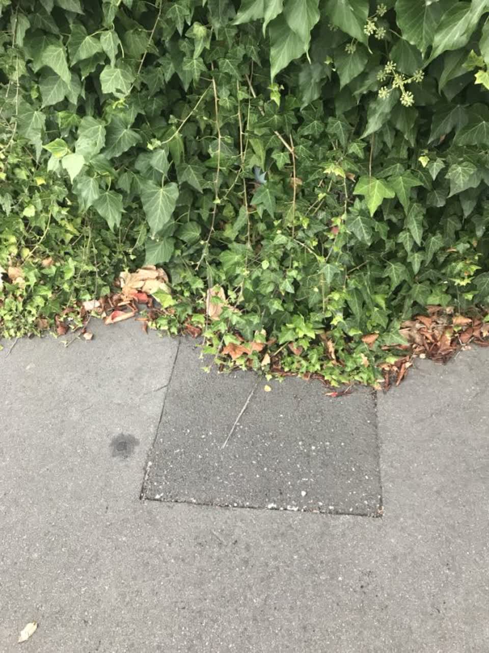 The photograph attached to this wastewater/stormwater report