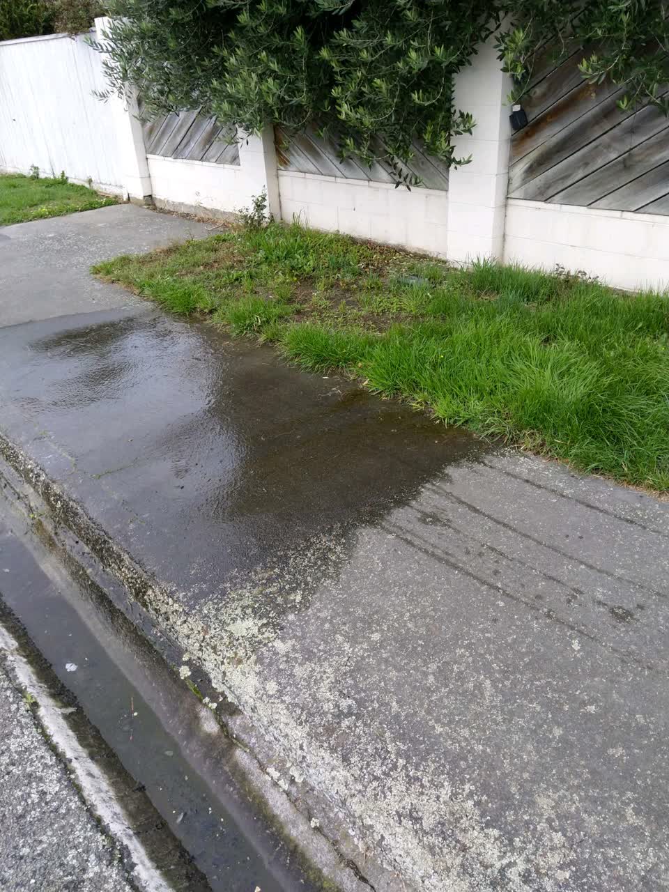 The photograph attached to this water supply report