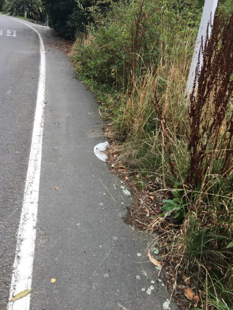The photograph attached to this roading/streets report