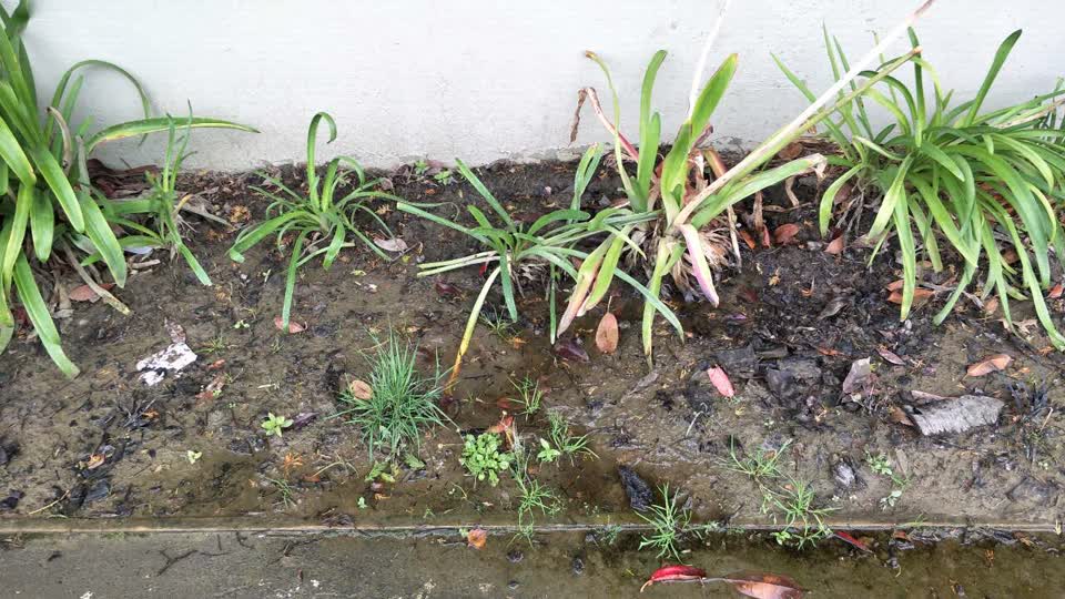 The photograph attached to this water supply report