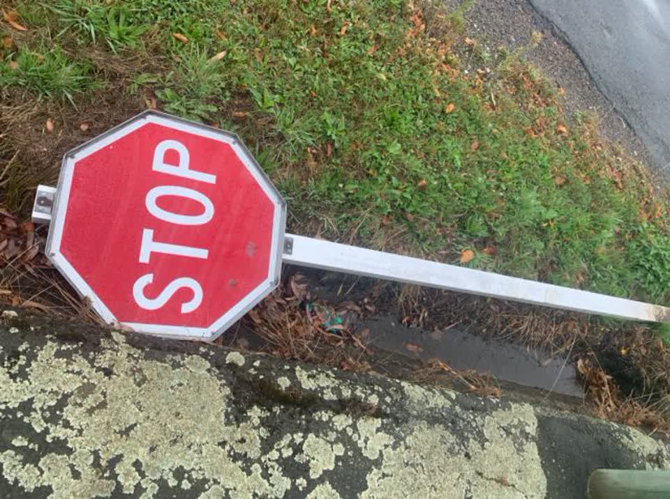 The photograph attached to this roading/streets report