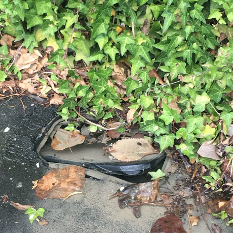 The photograph attached to this wastewater/stormwater report