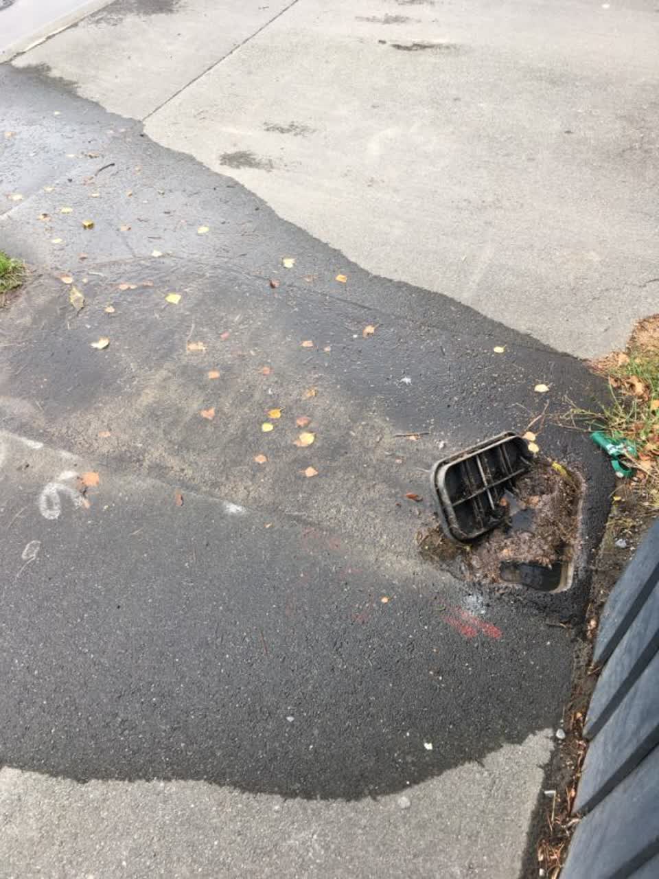 The photograph attached to this roading/streets report