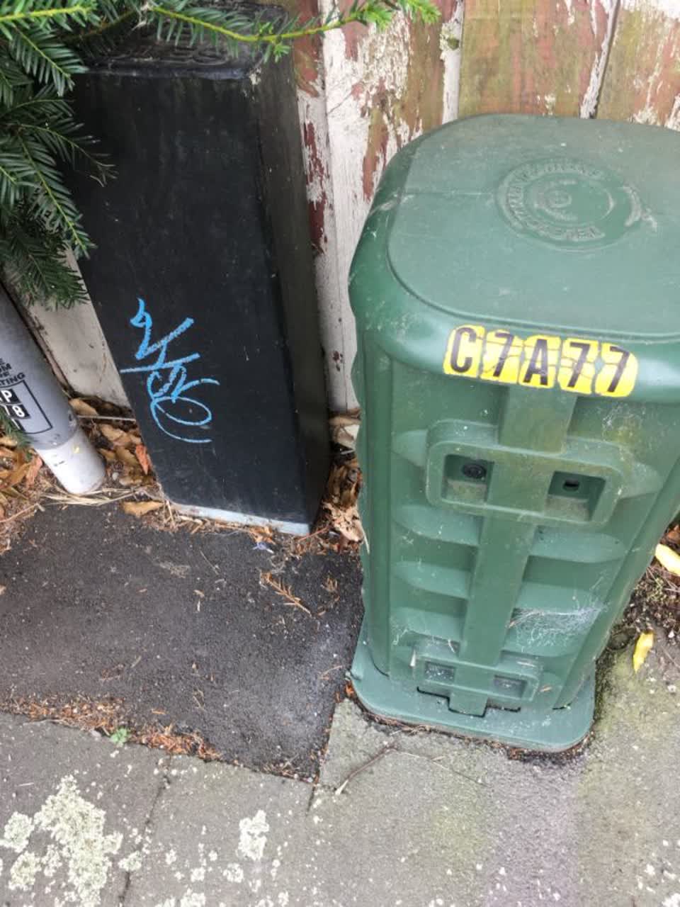 The photograph attached to this graffiti report