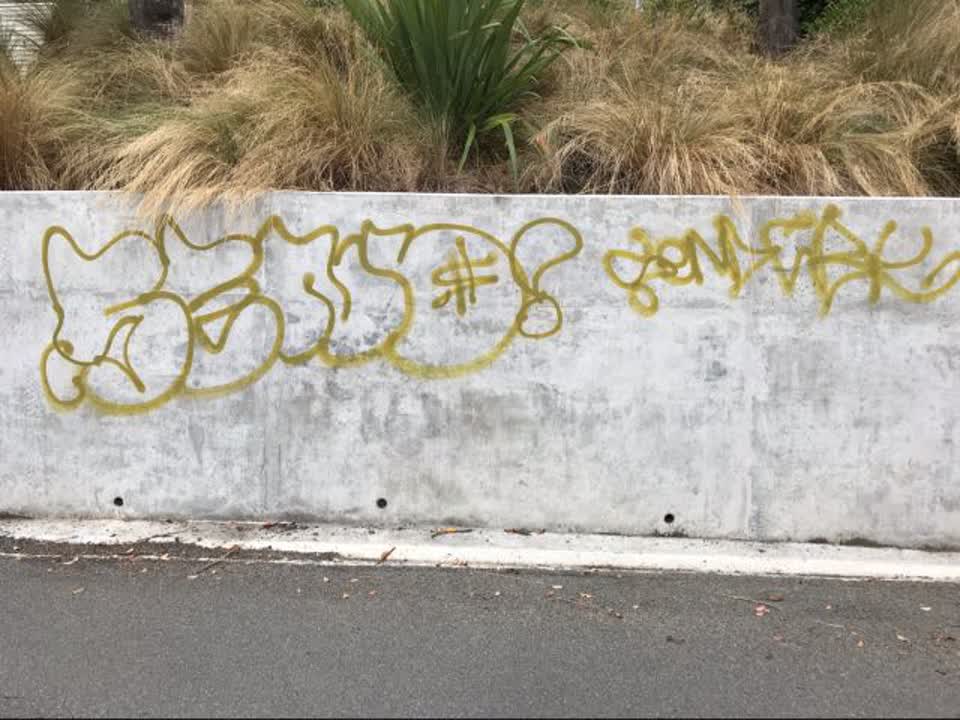 The photograph attached to this graffiti report