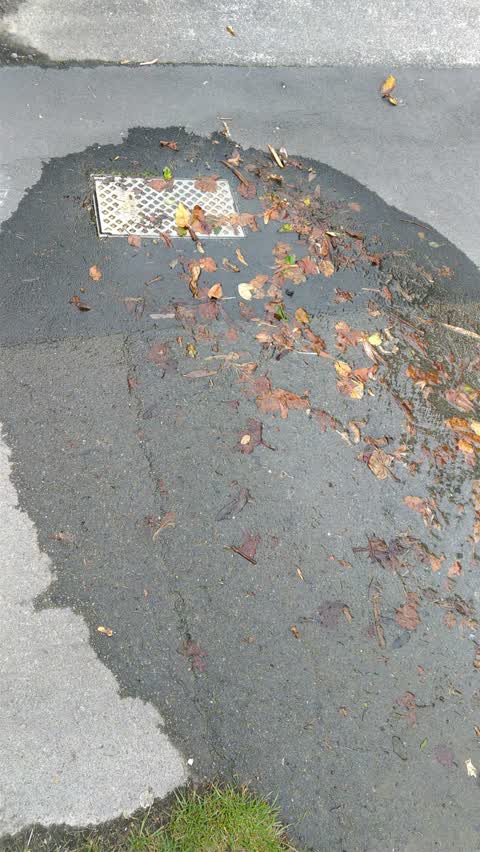 Water Supply, a report photo