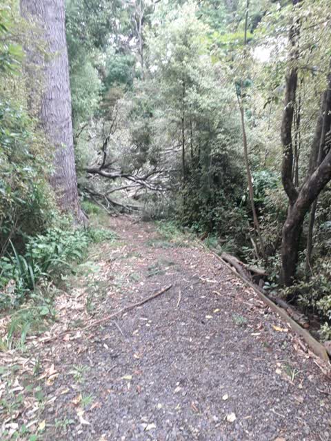 Parks, a report photo