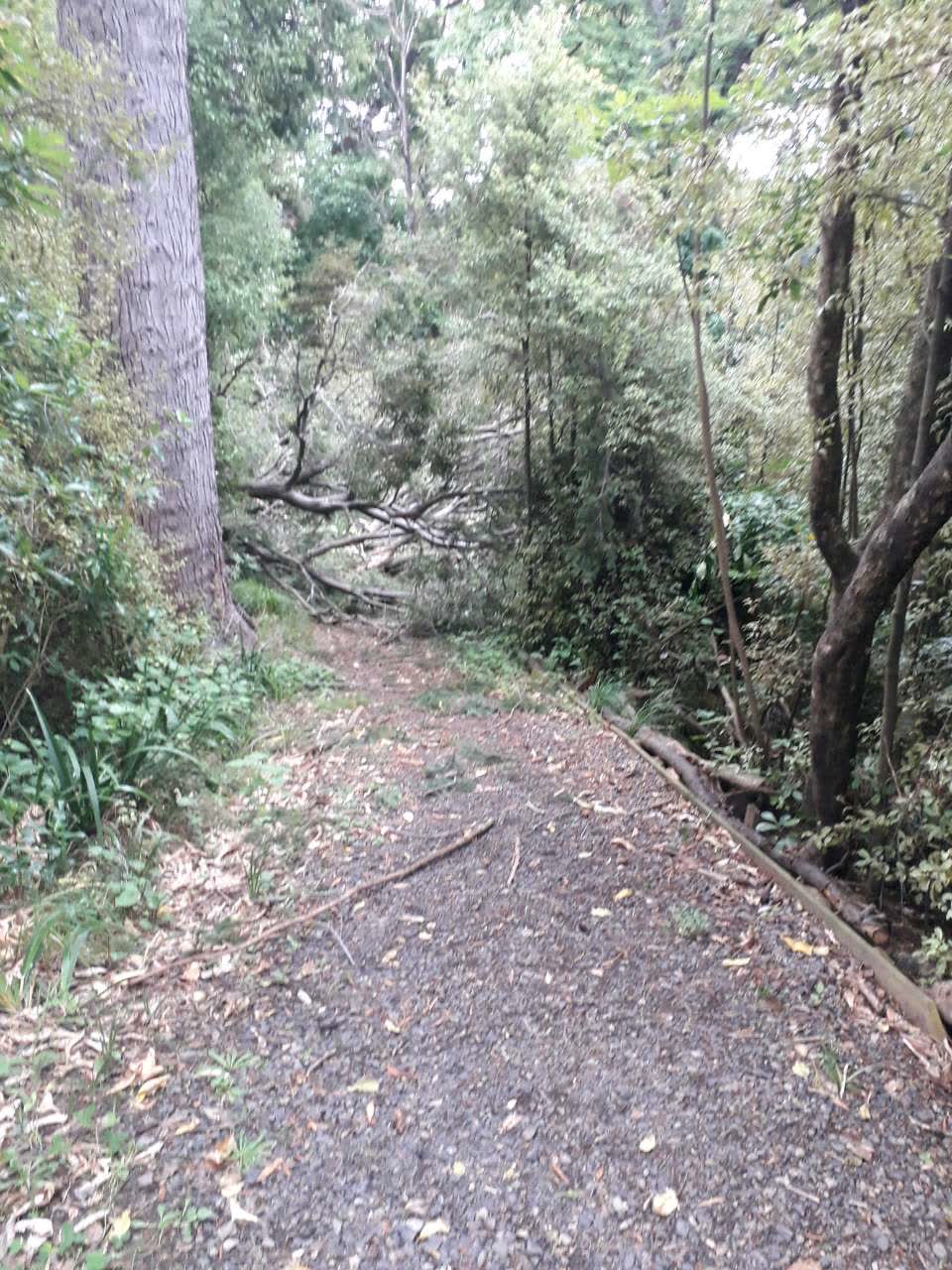 The photograph attached to this parks report