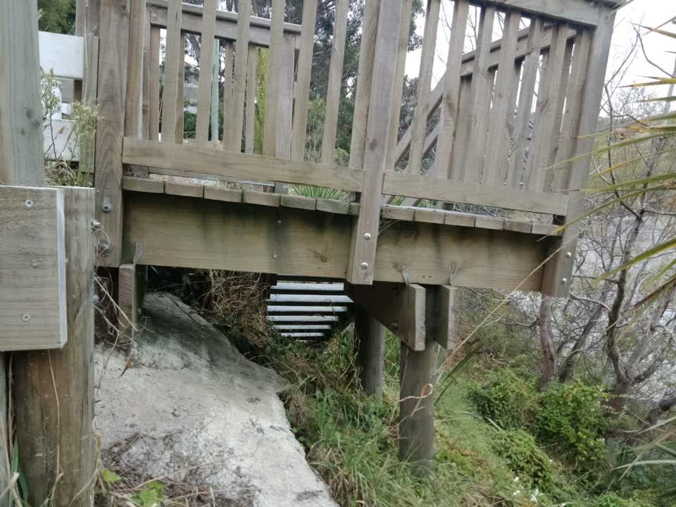 The photograph attached to this parks report